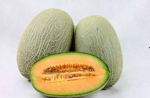 老头吃哈密瓜视频大全免费观看,老头吃哈密瓜视频大全,欢乐时光尽在此处 第2张 老头吃哈密瓜视频大全免费观看,老头吃哈密瓜视频大全,欢乐时光尽在此处 第2张