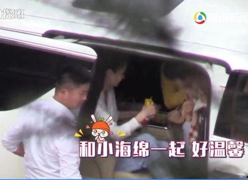 小海绵最新爆料辟谣视频,揭秘真相背后的真相